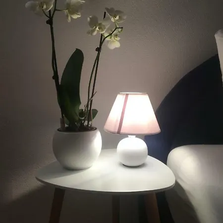 Grand Ensuite; 2 1 Bdr 24h Self Check In Free Parking Garden 公寓 塞拉耶佛